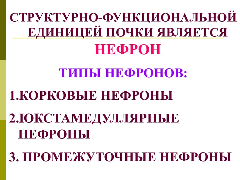 Что не является функциональным. Структурно-функциональной единицей почки является. Что является функциональной единицей почки. Структурной и функциональной единицей почки является. Юкстамедуллярные нефроны.