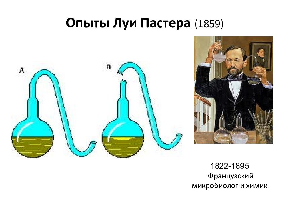 На рисунке показан опыт луи пастера какую теорию опроверг ученый этим опытом