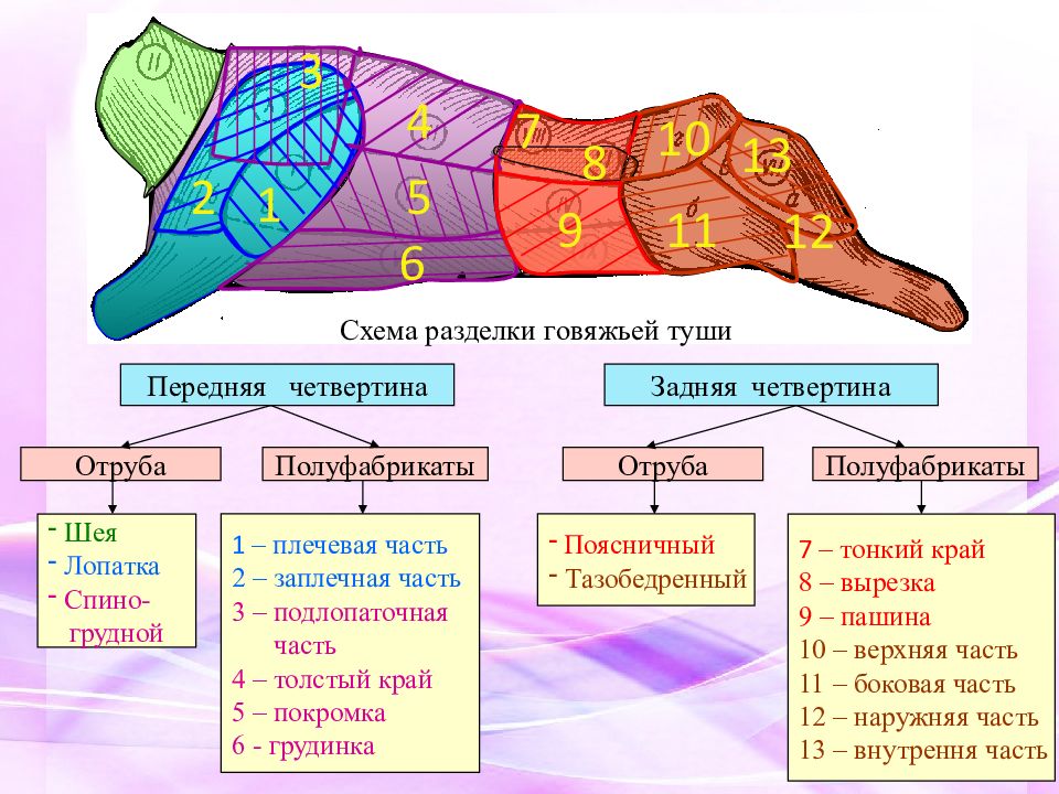 Схема разделки свинины на крупнокусковые полуфабрикаты