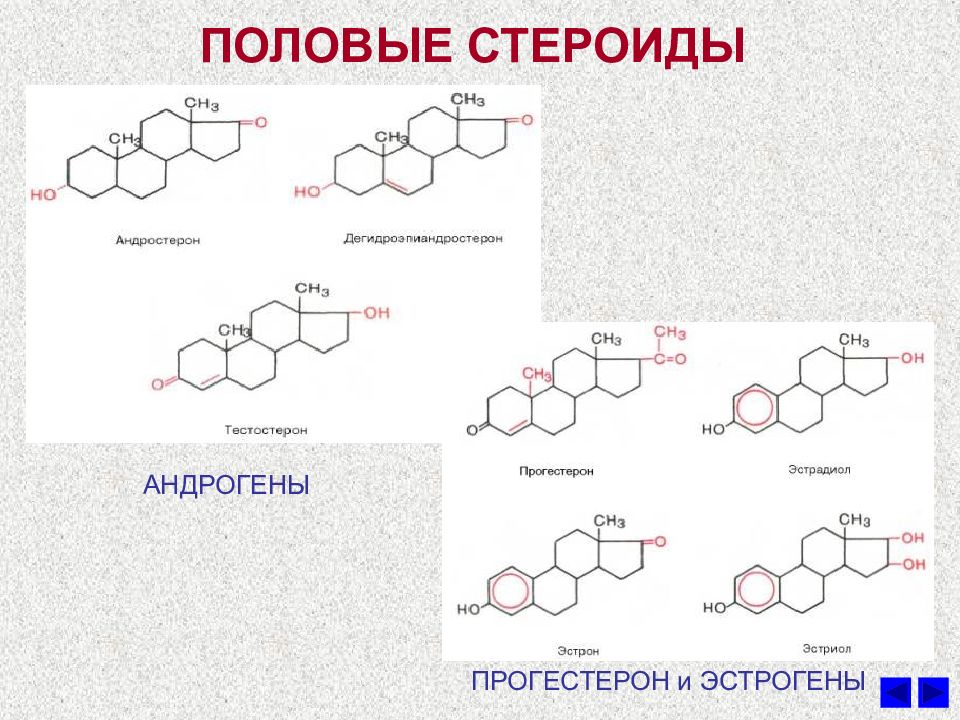 Стероидные гормоны картинки