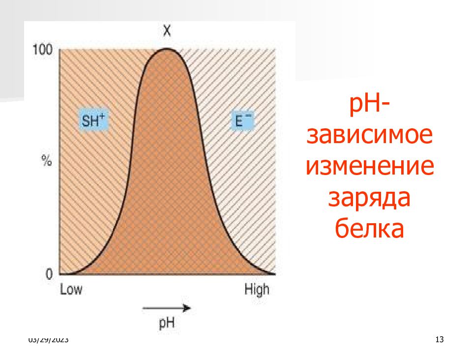 Изменение заряда. Изменение заряда белка. Как определить заряд белка. 1.1.1.1 Фермент. Изменение заряда белка в зависимости от РН среды.