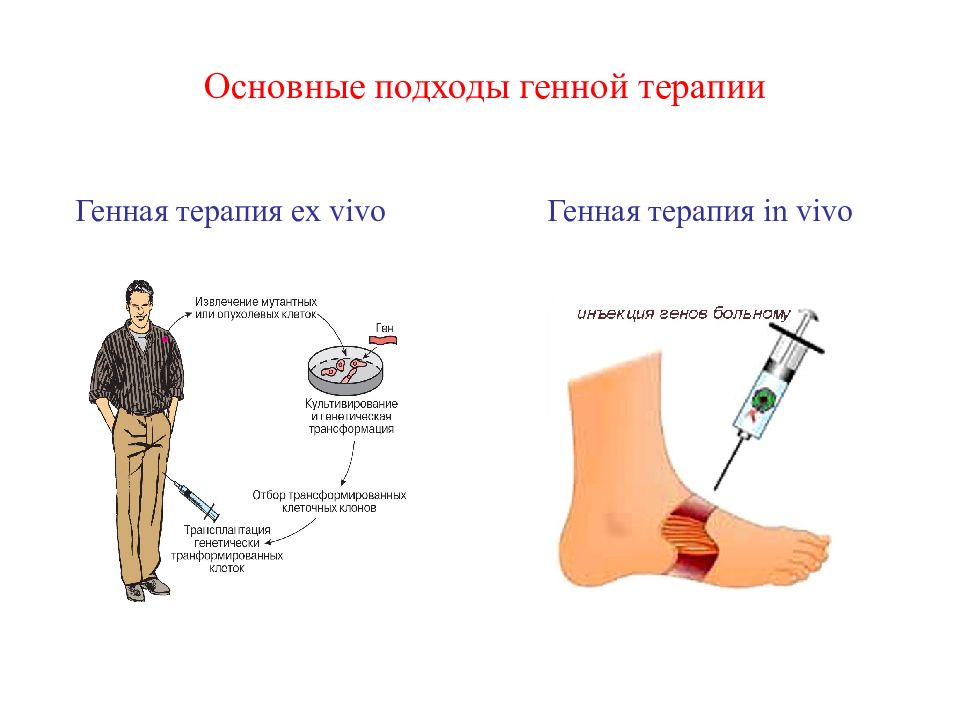 Презентация на тему генная терапия