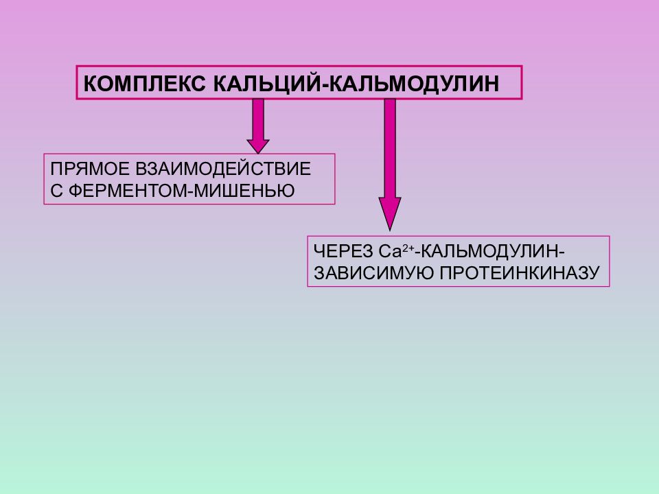 Взаимодействие напрямую. Взаимодействие напрямую. Косвенная конкуренция. Механизм прямого действия ионизирующего излучения. Взаимодействие напрямую.
