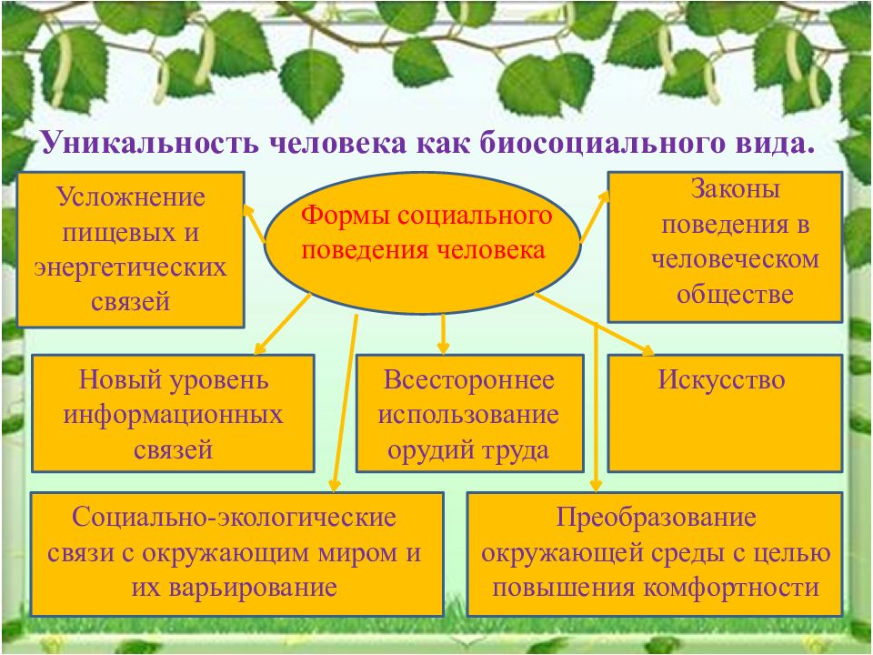 Презентация на тему социальная экология