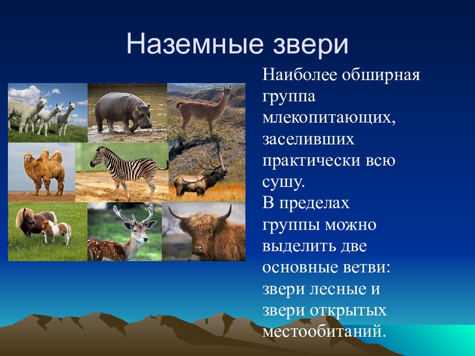 Презентация по биологии 7 класс экологические группы млекопитающих