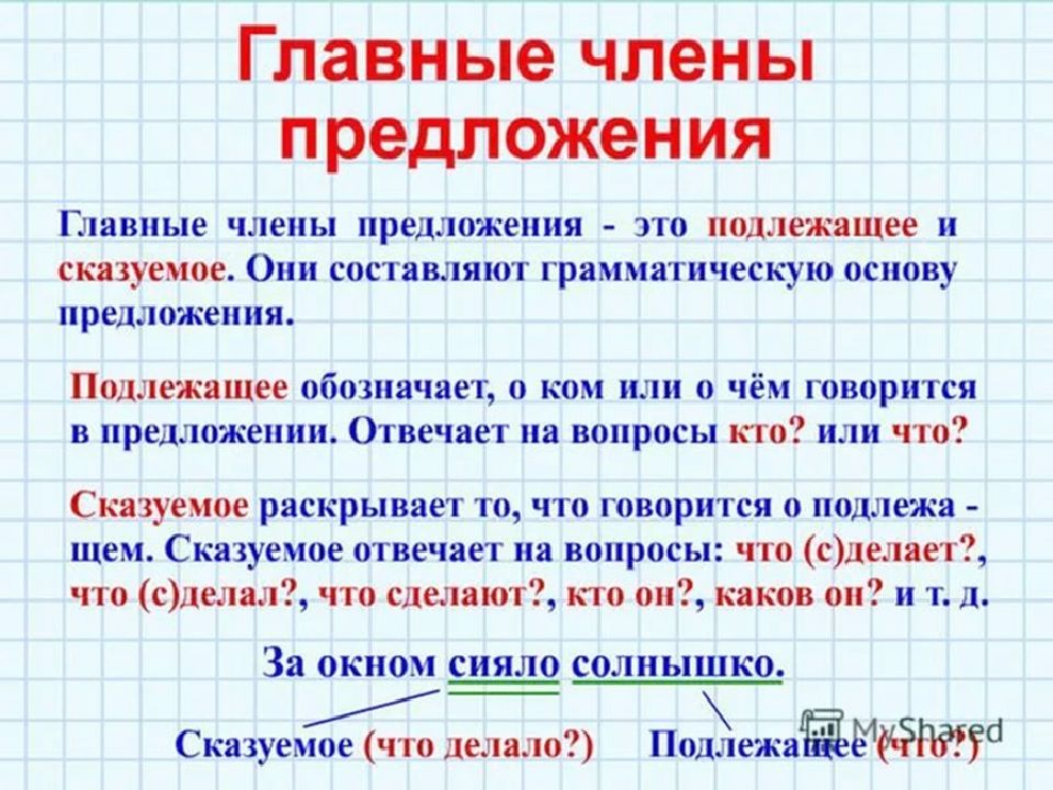 Главные правила русского языка в картинках