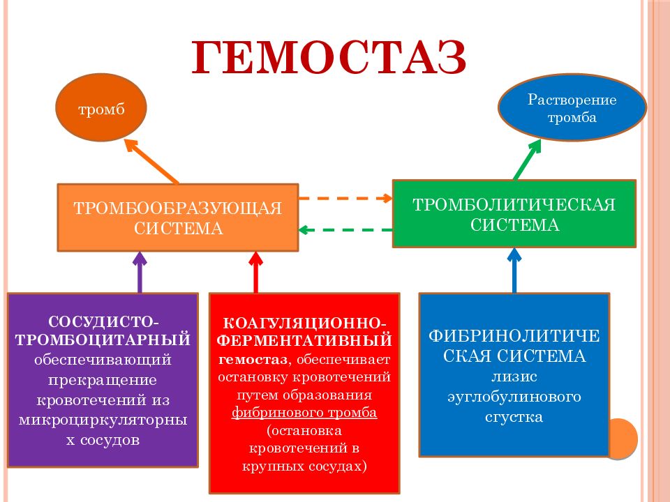 Гемостаз картинки для презентации