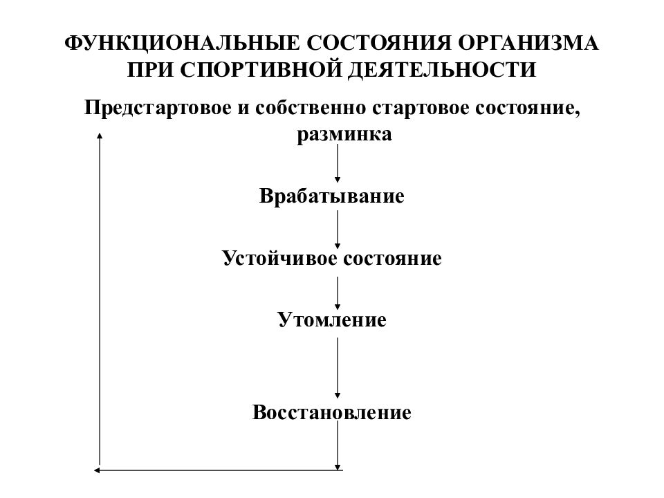 Функциональное состояние организма презентация