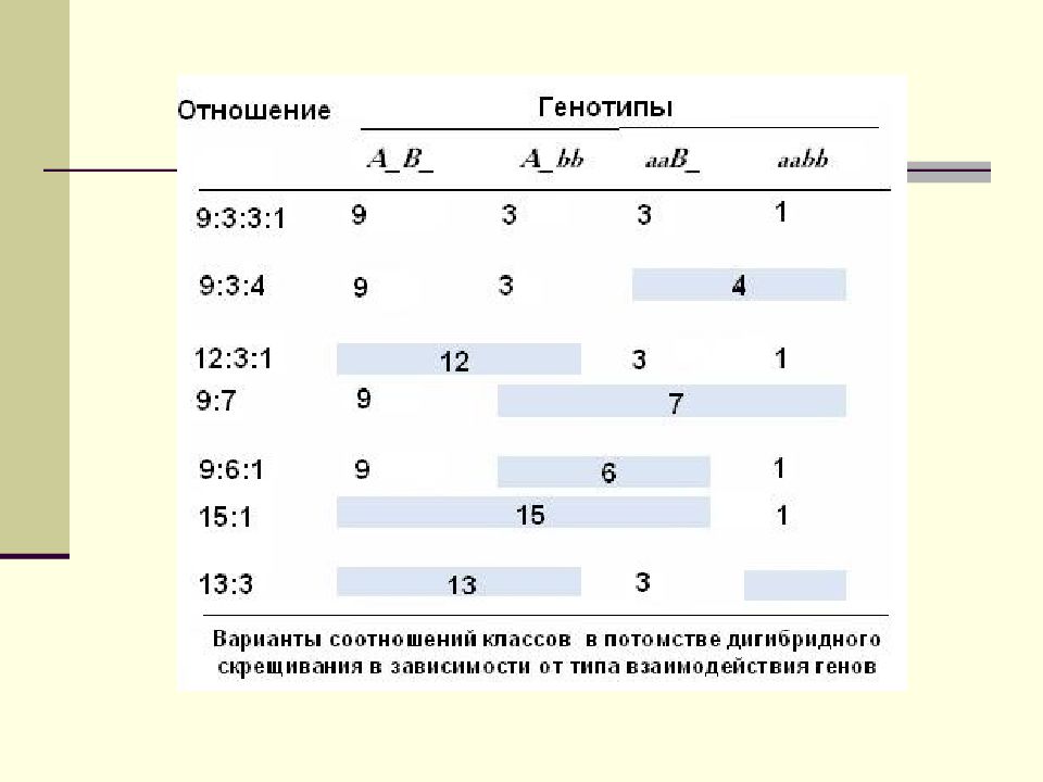 Методы исследования наследственности фенотип и генотип 9 класс пасечник презентация