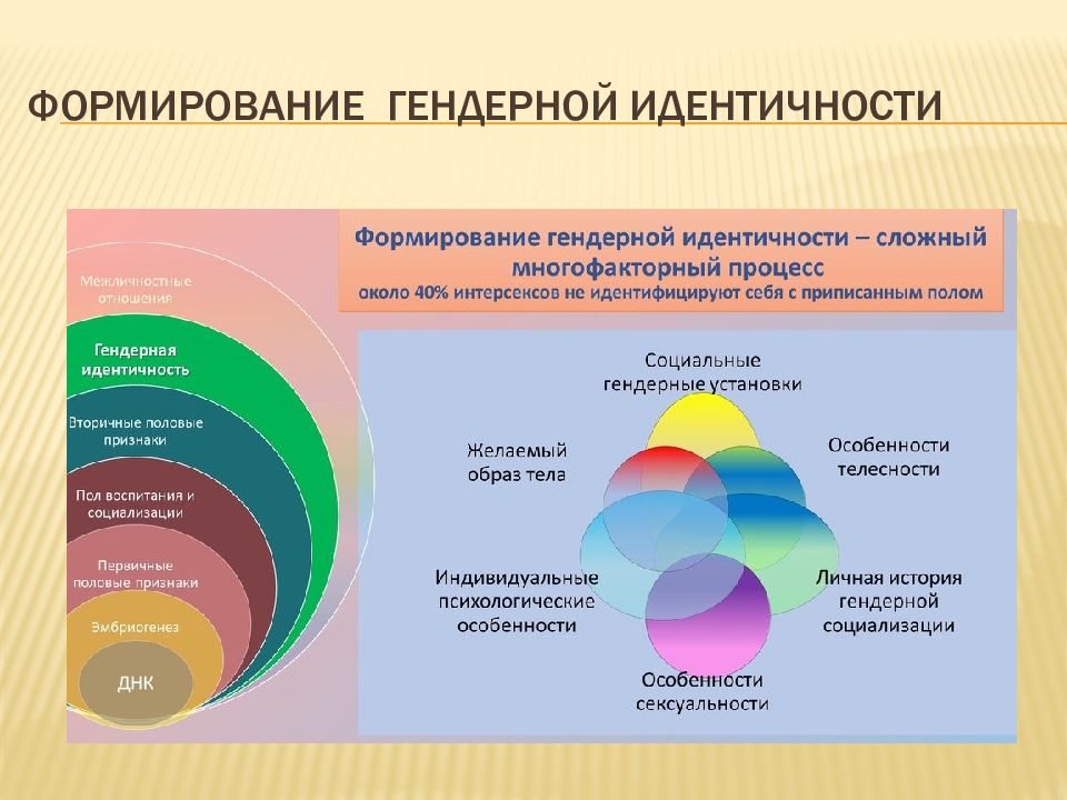 Гендерная идентичность. Гендерные идентичности список. 3 Вида ориентаций национальной идентичности. Воронцов Дмитрий Владимирович гендерная идентичность.