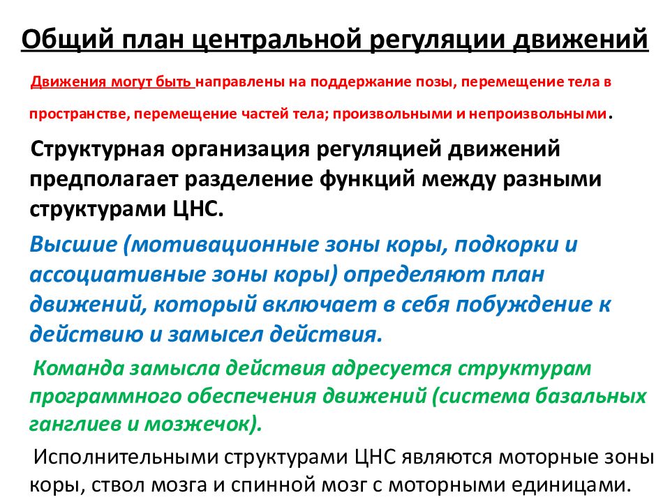 Значение нервной системы в управлении движениями и регуляции систем организма проект