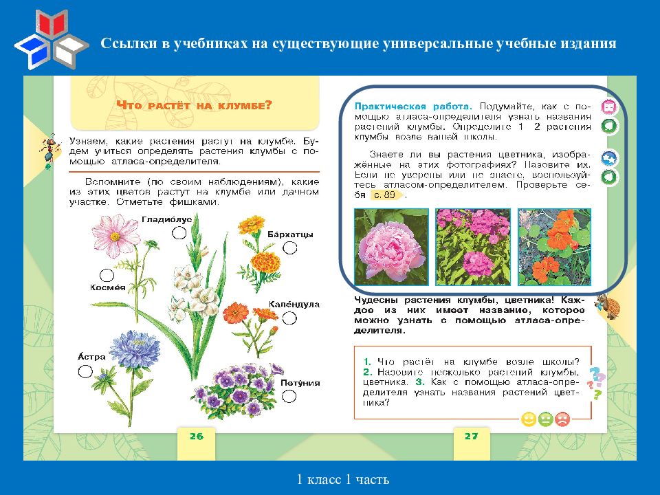 Задача про клумбу. Цветы на клумбе названия 1 класс. Растения на клумбе названия 1 класс. Растения клумбы 1 класс. Цветы на клумбе 1 класс окружающий мир.