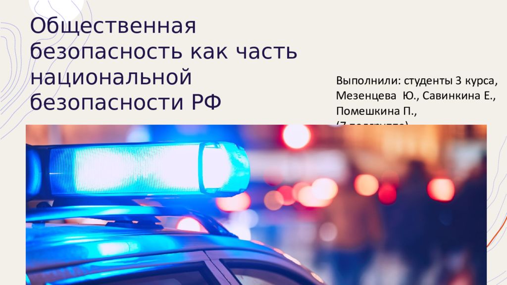 Презентация общественная безопасность