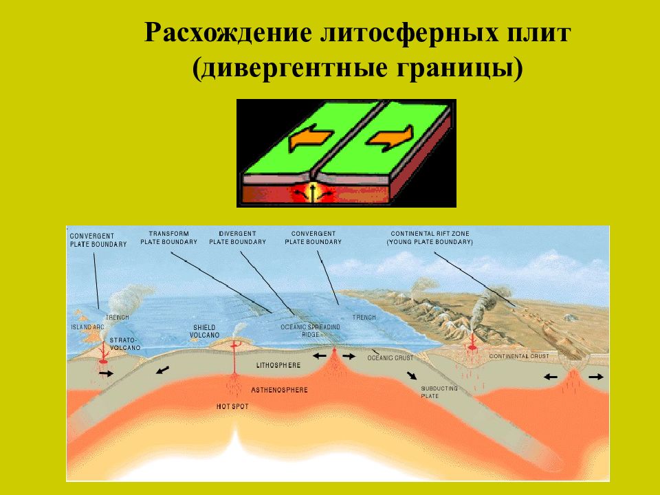 Гипотезы тектоники литосферных плит. Дивергентные и конвергентные границы литосферных плит. Границы столкновения литосферных плит. Дивергентное движение литосферных плит. Дивергентные границы литосферных плит.