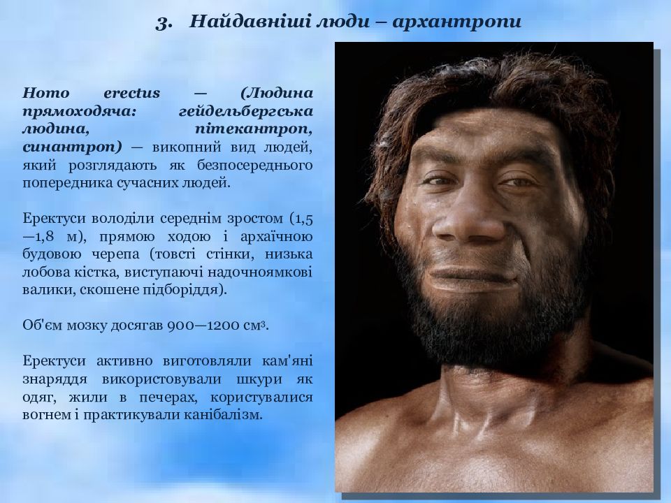 Homo erectus erectus питекантроп. Питекантроп синантроп гейдельбергский человек относятся к людям. Питекантроп синантроп гейдельбергский человек относятся к людям. Человек выпрямленный питекантроп синантроп гейдельбергский человек. Эволюция человека синантроп.