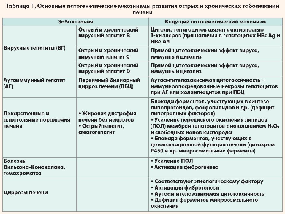 Хронический гепатит цирроз печени презентация