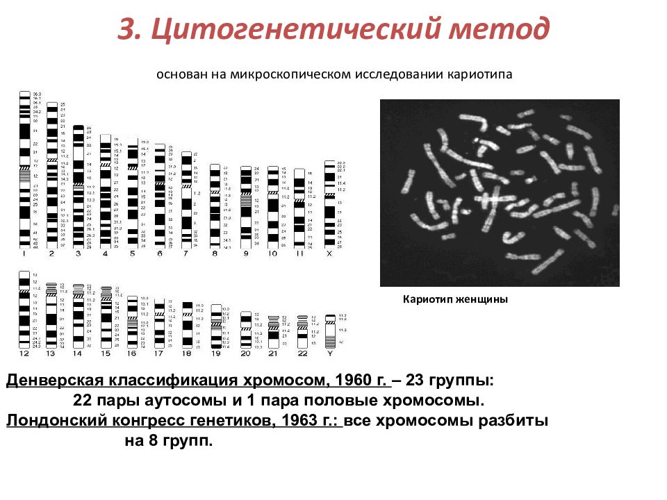 Цитогенетическая терапия. Цитогенетический метод генетика. Метод анализа кариотипа. Цитогенетический метод исследования кариотипа. Цитогенетический метод изучения кариотипа.