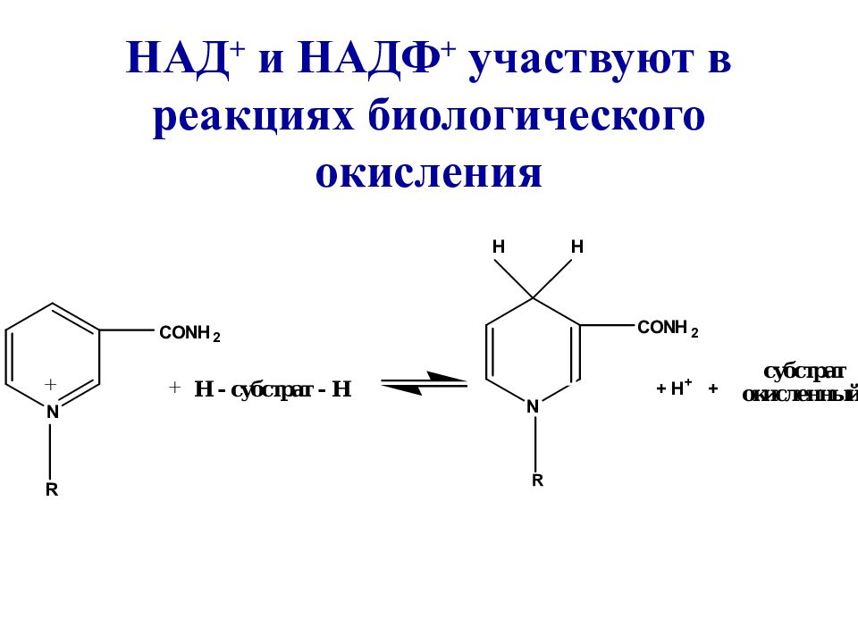 Надф поглощение