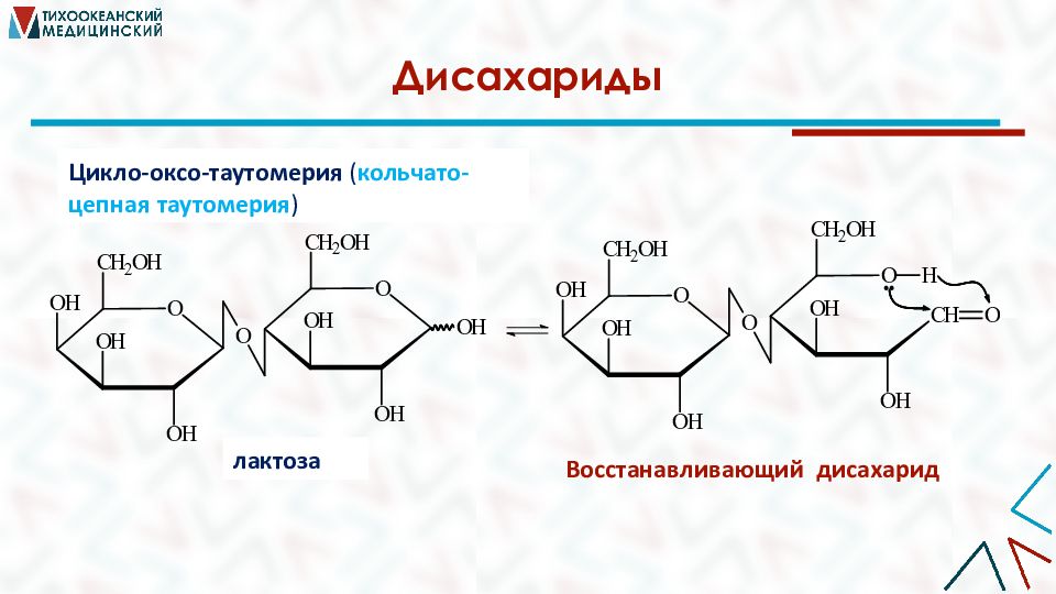 Цикнуть. Кольчато-цепная таутомерия дисахаридов. Таутомерия полисахаридов. Кольчато цепная таутомерия Целлобиозы. Таутомерия мальтозы.