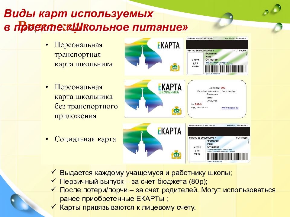 Карта школьника питание. Карточки питания в школе. Школьная карта питания. Школьная карта виды. Карточки по питанию в школе.