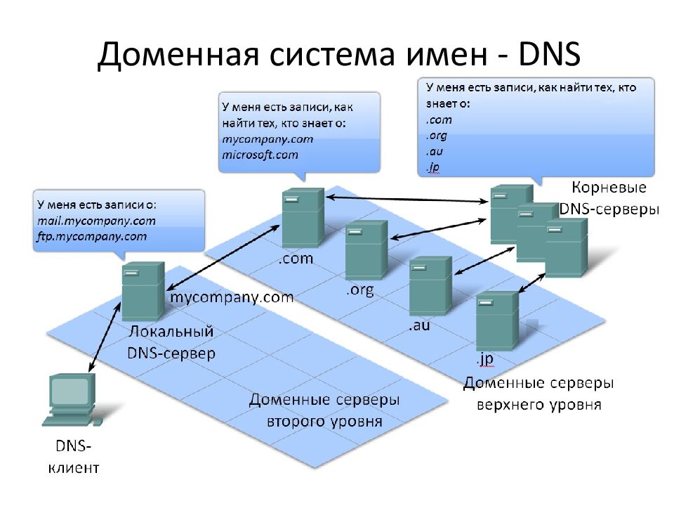 Доменные имена презентация