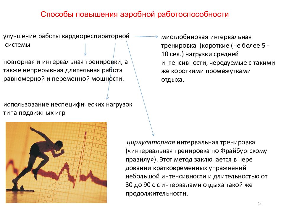 Биохимические основы работоспособности презентация