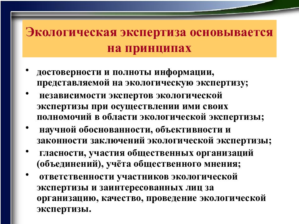 Основывается на принципах. Экологическая экспертиза основывается на принципах. Принципы экологической экспертизы. Принципы эколог экспертизы. Принципы геоэкологической экспертизы.