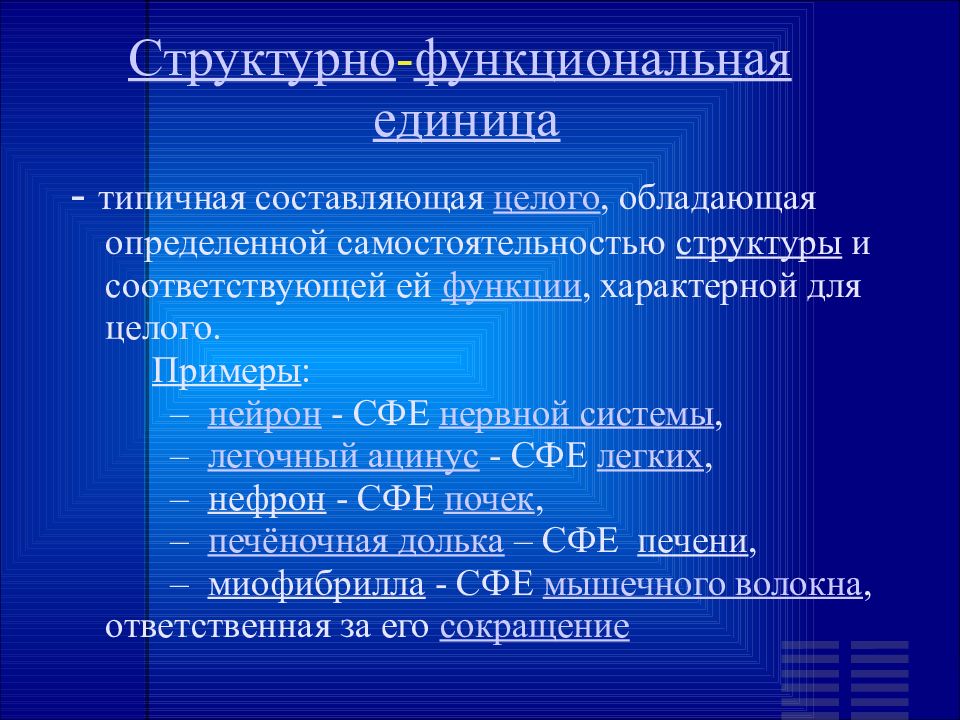 Что не является функциональным. Структура изображённая на рисунке является функциональным элементом. Структура изображённая на рисунке является функциональным.