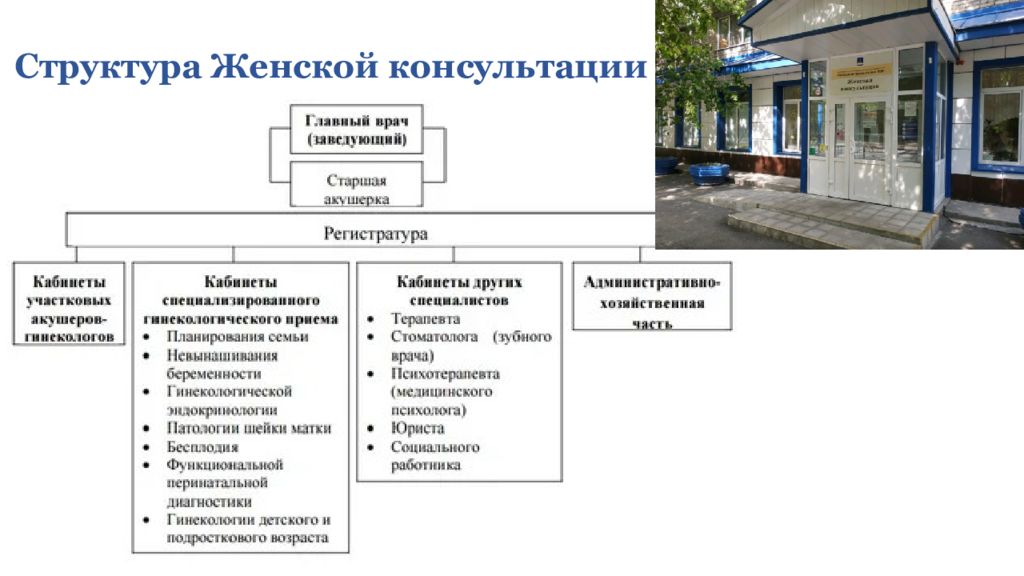 Женская консультация 4 саранск. Структура женской консультации. Организационная структура женской консультации. Женская консультация схема. Структура и организация женской консультации схема.