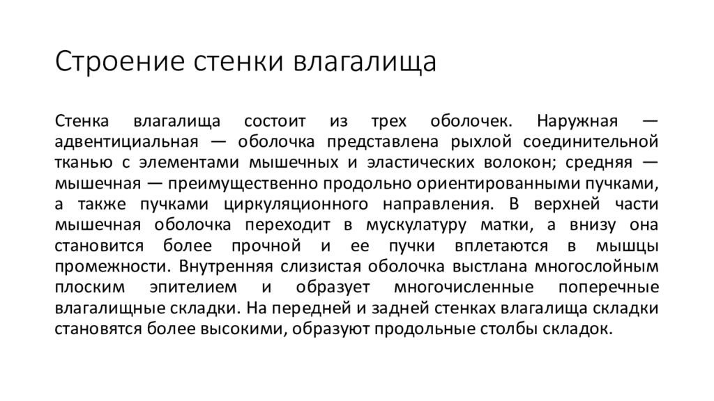 Анатомия вагины. Структура стенок влагалища. Рыхлые стенки влагалища.