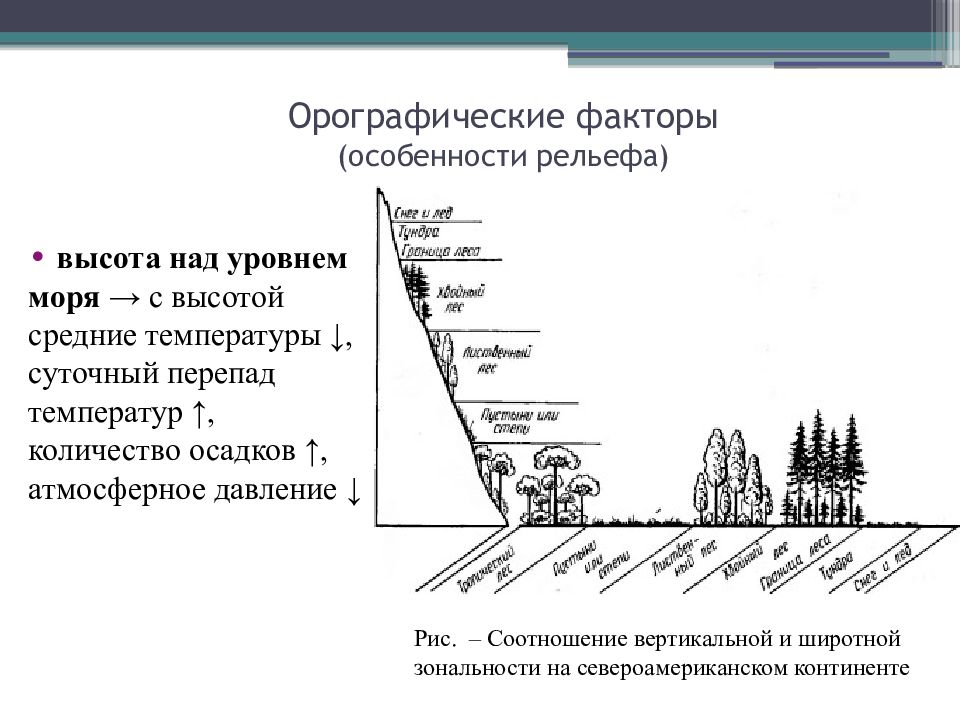 На какой высоте москва над уровнем моря. Орографические факторы. Орографические факторы примеры. Орографические факторы среды. Орографические экологические факторы.