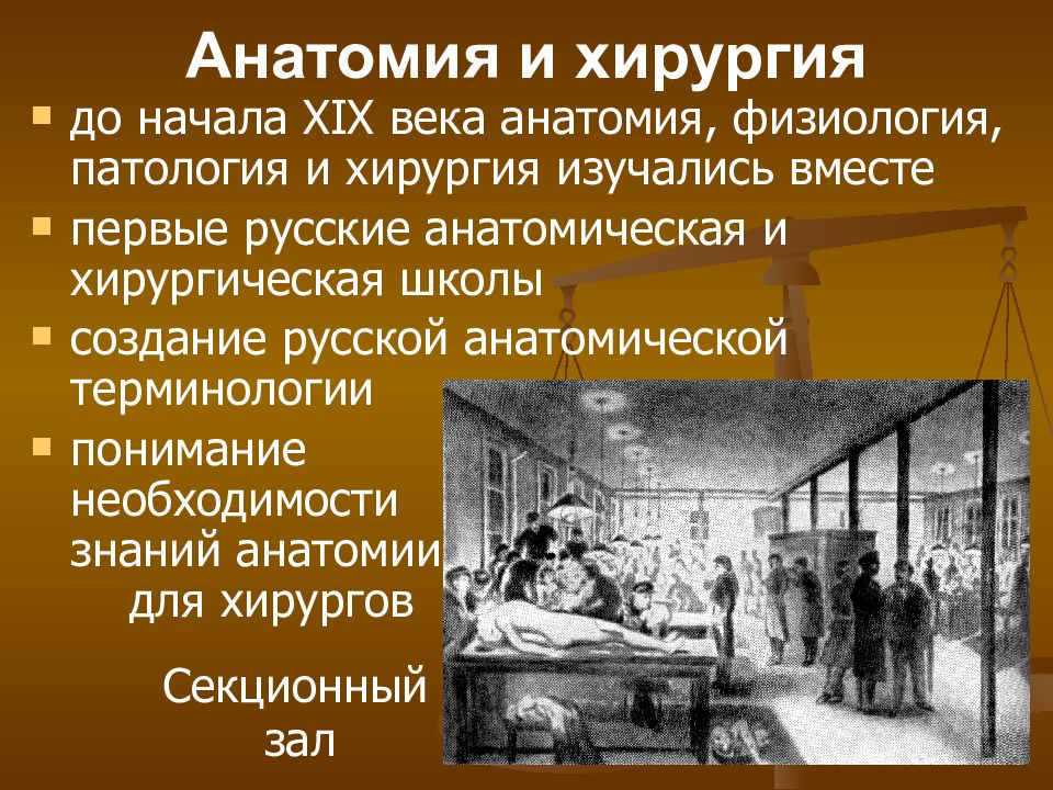 Медицина 19. Хирургия 19 века в России. Медицина 19 века кратко. Российская медицина 19 века.