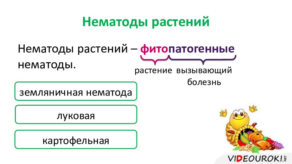 Нематоды растений
