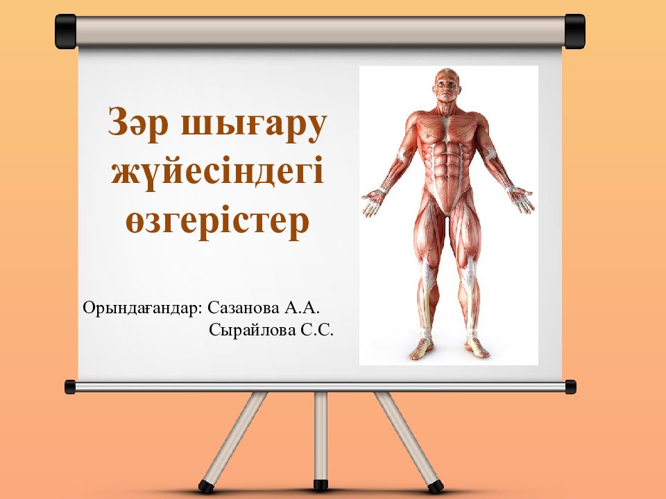 Зәр шығару жүйесіндегі өзгерістер