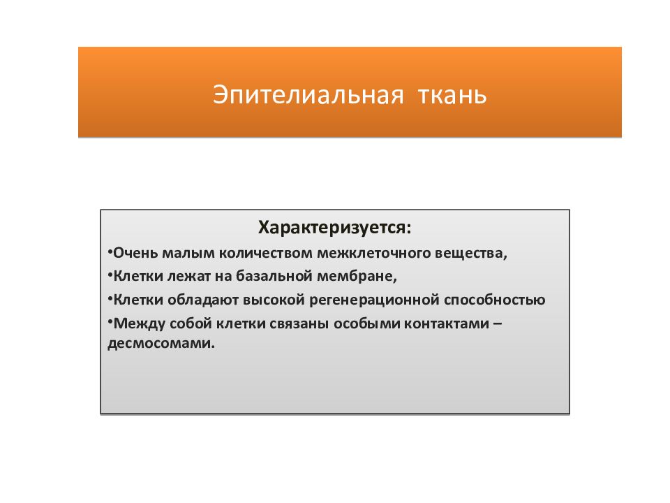 Эпителиальная ткань