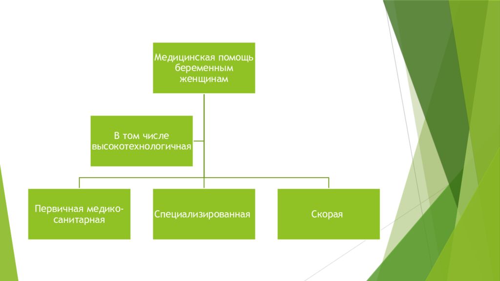 Организация медицинской помощи беременным женщинам. Организация медицинской помощи беременным. Организация медицинской помощи беременных..