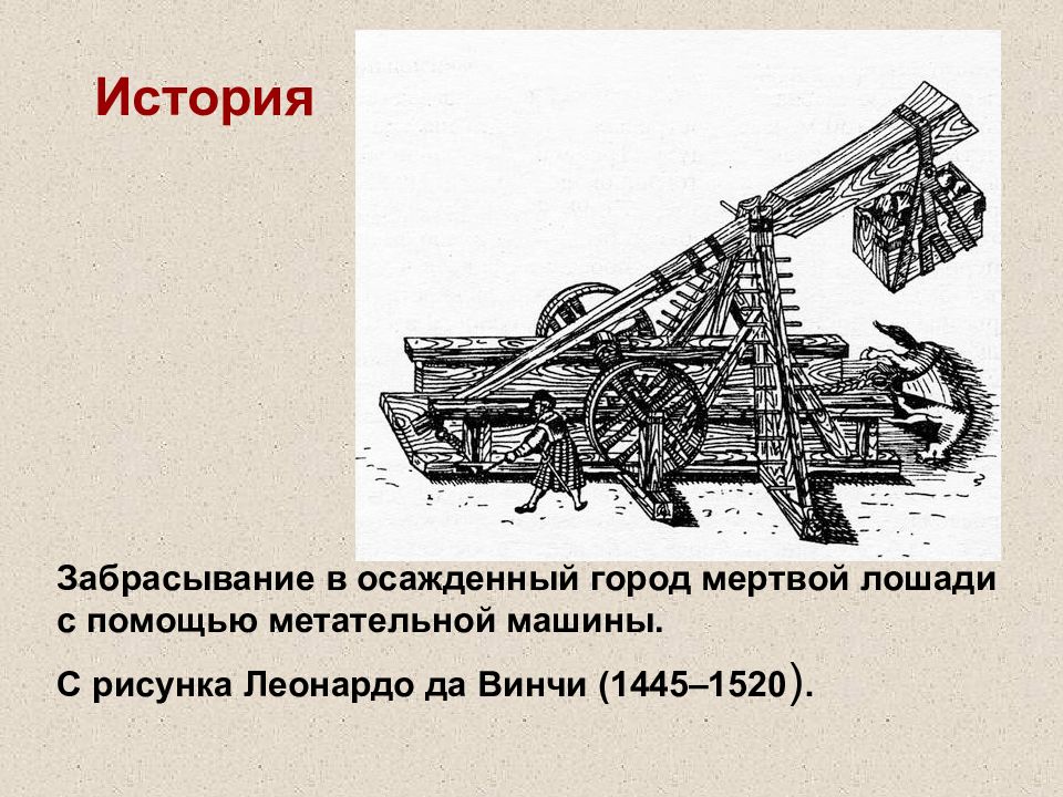 История 37