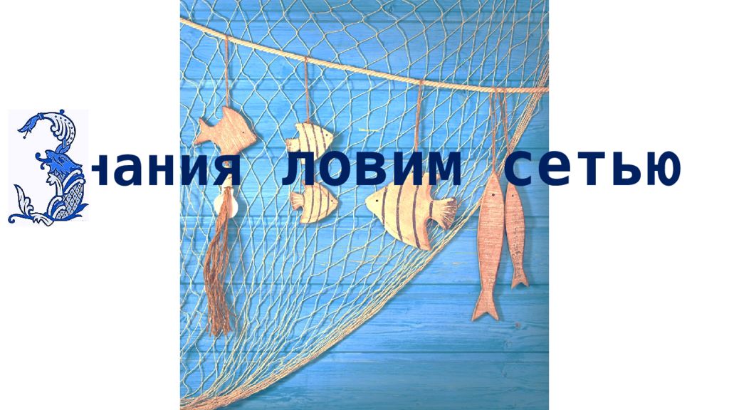 Знания ловим сетью