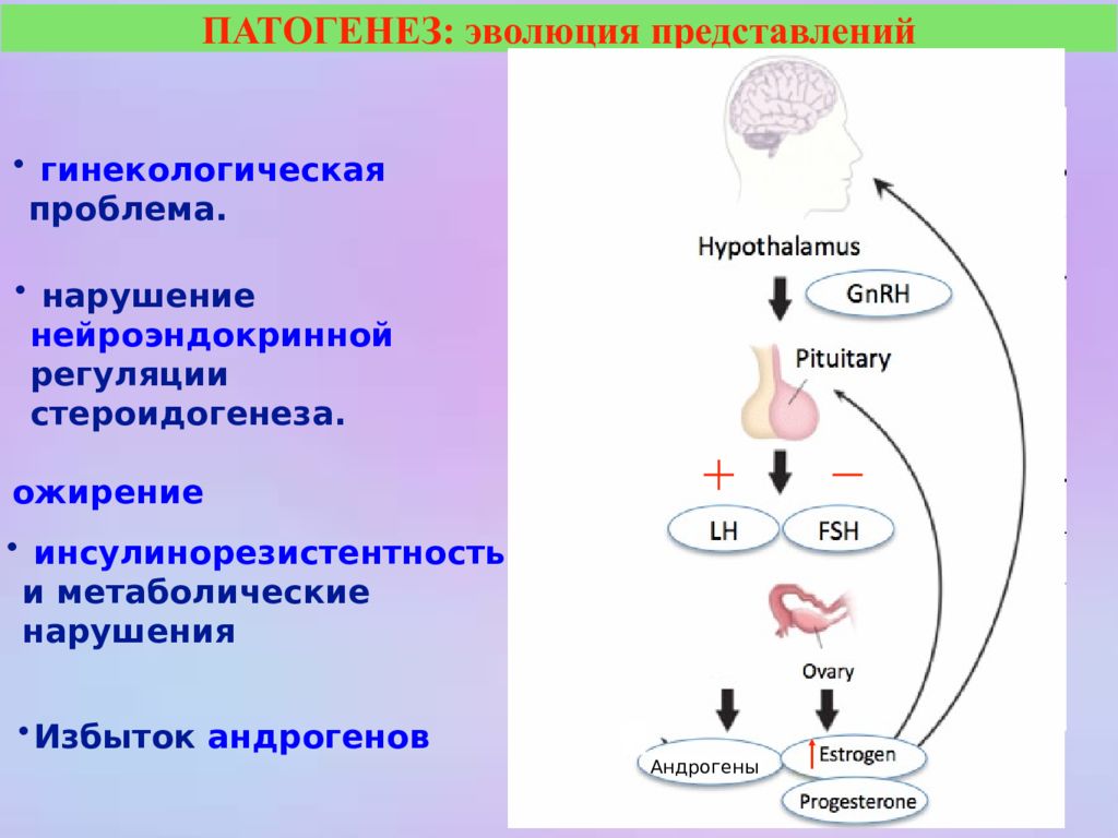 Синдром поликистозных яичников презентация