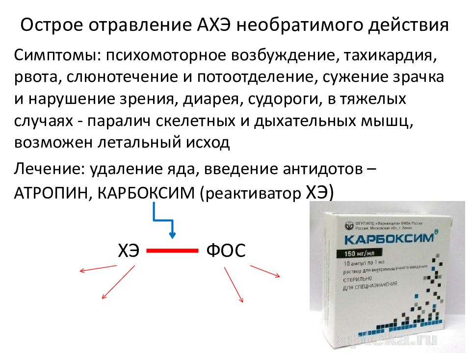 Паралич дыхательной мускулатуры развивается при отравлении