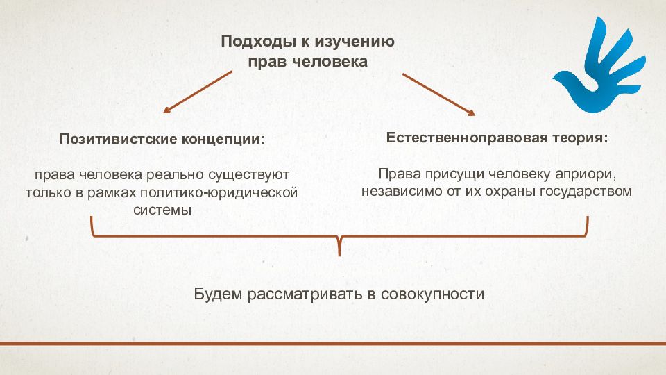 Основные концепции и подходы к проблеме прав человека презентация