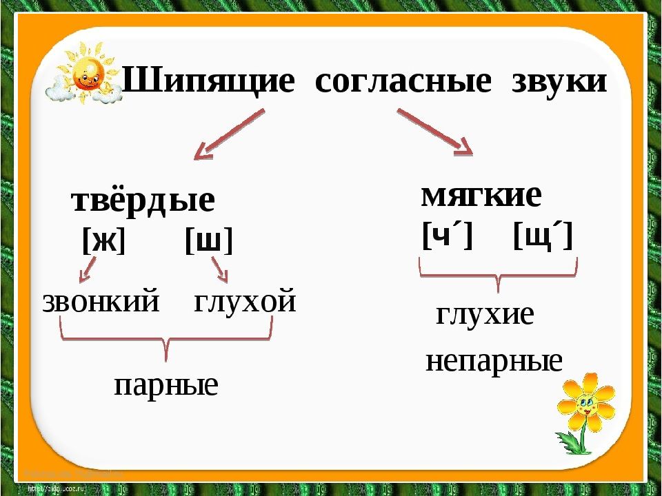 Какие группы можно объединить. Непарные шипящие согласные звуки. Твёрдые шипящие согласные звуки 2 класс. Твёрдые непарные шипящие согласные звуки. Твердые и мягкие непарные шипящие звуки.