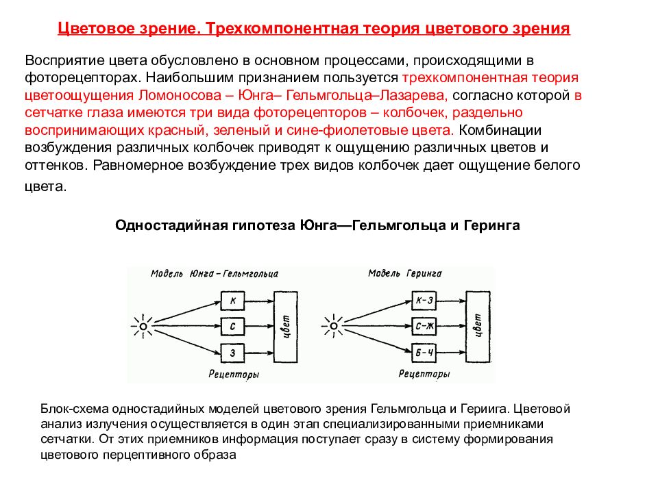 Теории зрения. Теории цветового зрения Юнга-Гельмгольца. Трехкомпонентная теория восприятия цвета. Трехкомпонентная теория цветоощущения. Теория трехкомпонентного цветного зрения.