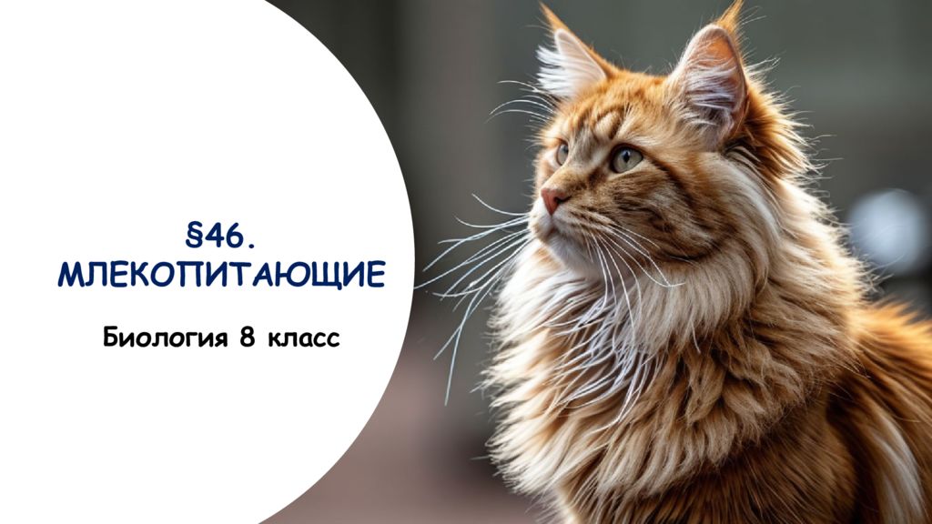46. МЛЕКОПИТАЮЩИЕ Биология 8 класс