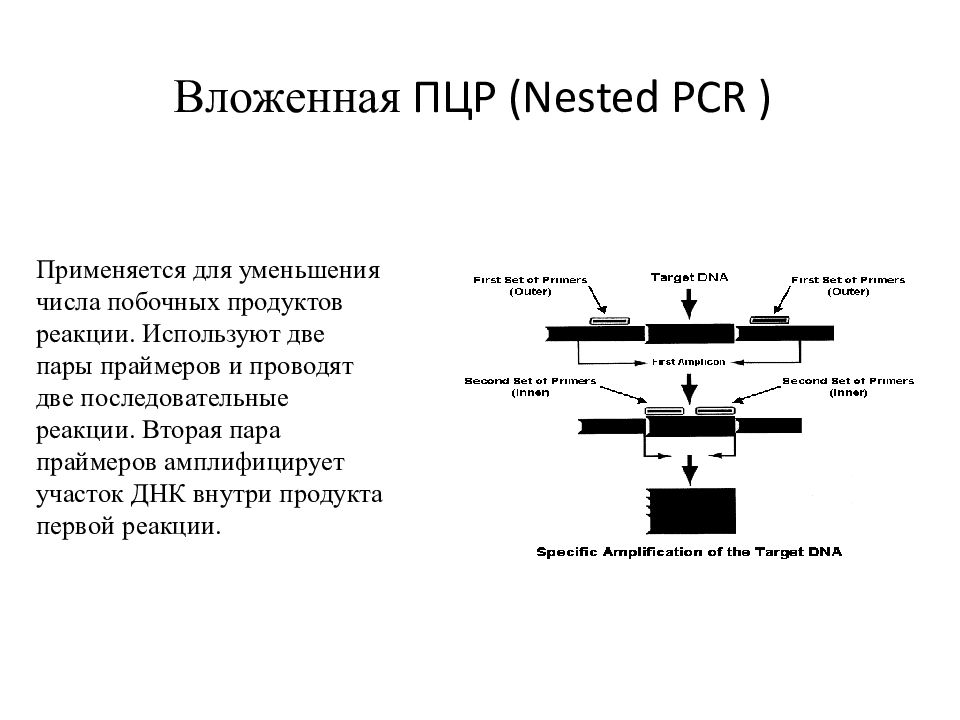 Пцр ошибка. Вложенная полимеразная цепная реакция. ПЦР принцип метода. Полимеразная цепная реакция Праймеры. Схема исследования методом ПЦР.