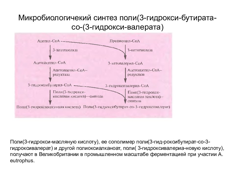 Биоразлагаемые полимеры презентация