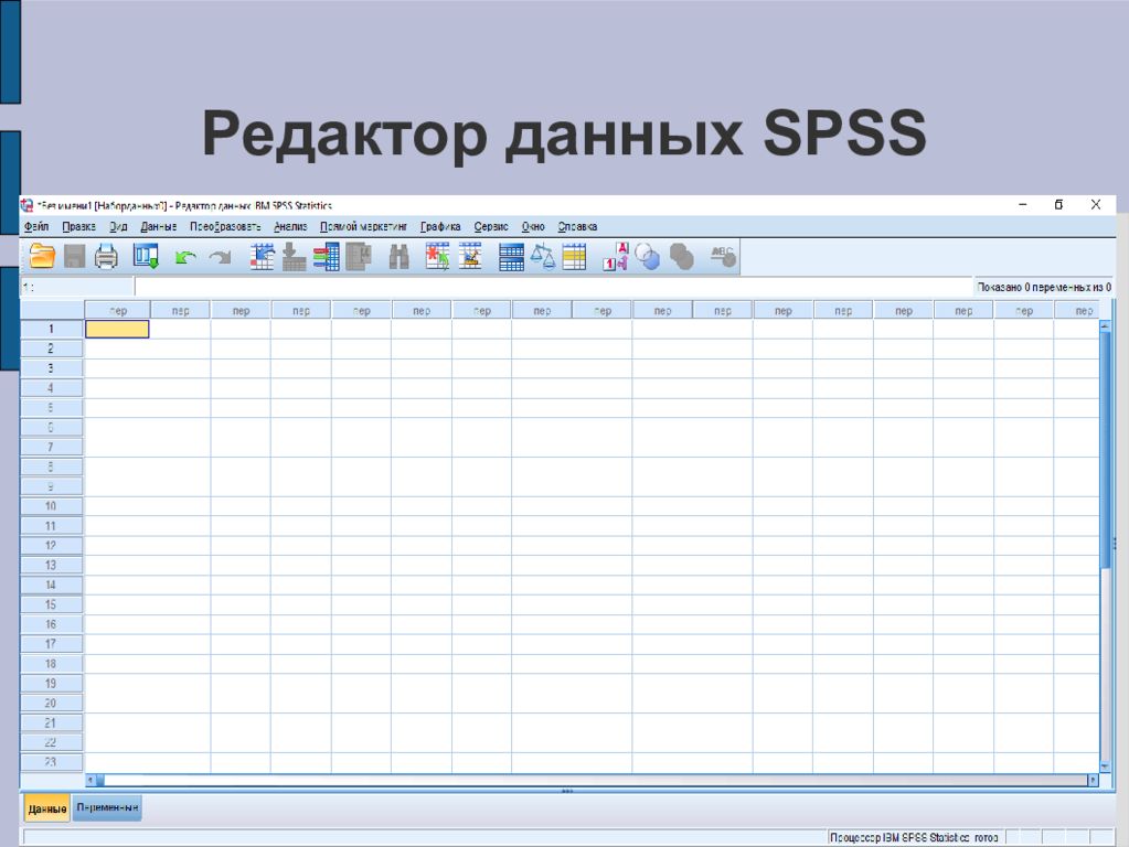 Редактор данных. Редактор данных SPSS. Редактор без данных. SPSS статистический методы. Типы данных с спсс.