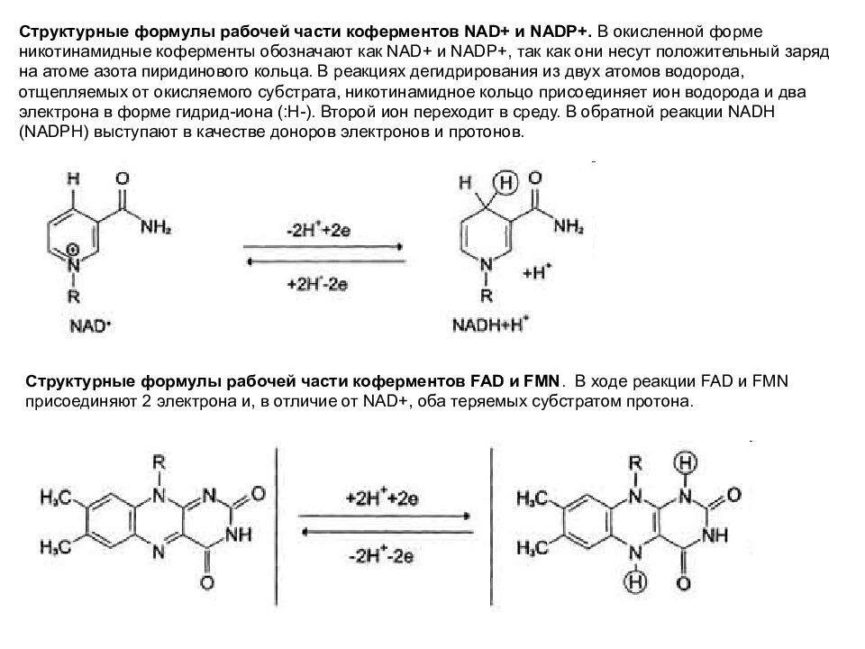 Рабочий формула. Структурная формула кофермента ФАД. Формула рабочей части ФМН. Формула кофермента над. Окисленная и восстановленная форма над и ФАД.