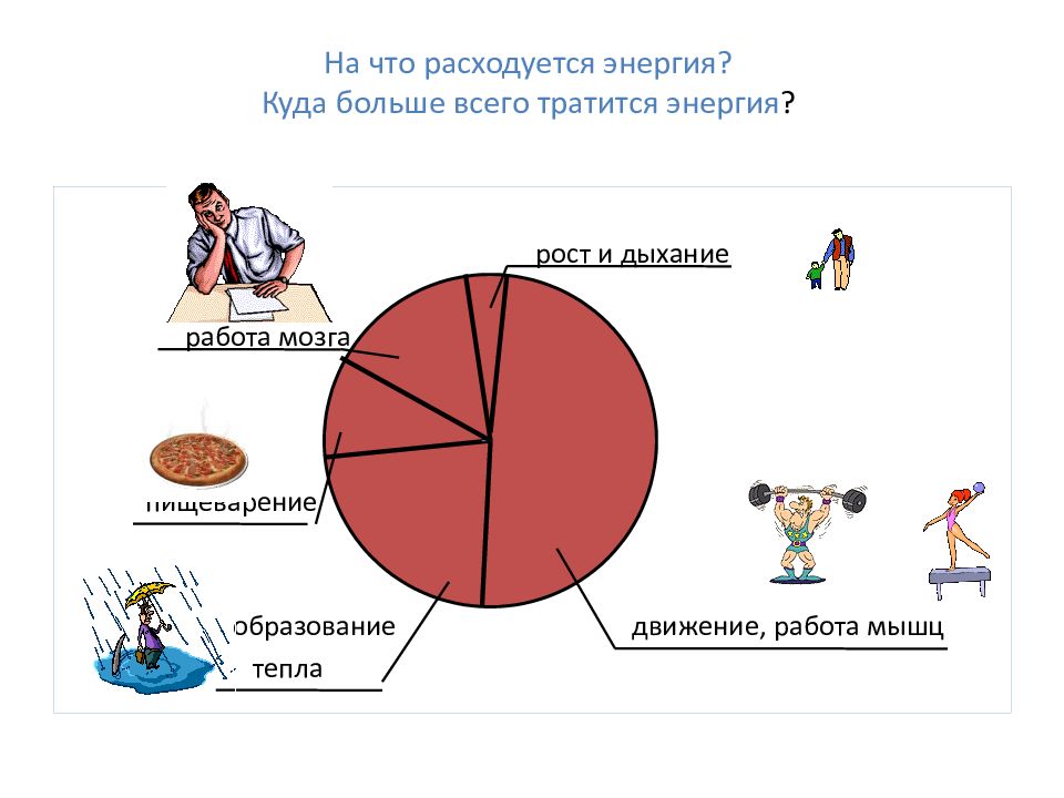 Куда необходимость. На что трптиться энергия. На что расходуется энергия. На что тратится энергия человека. На что расходуется энергия пищи.