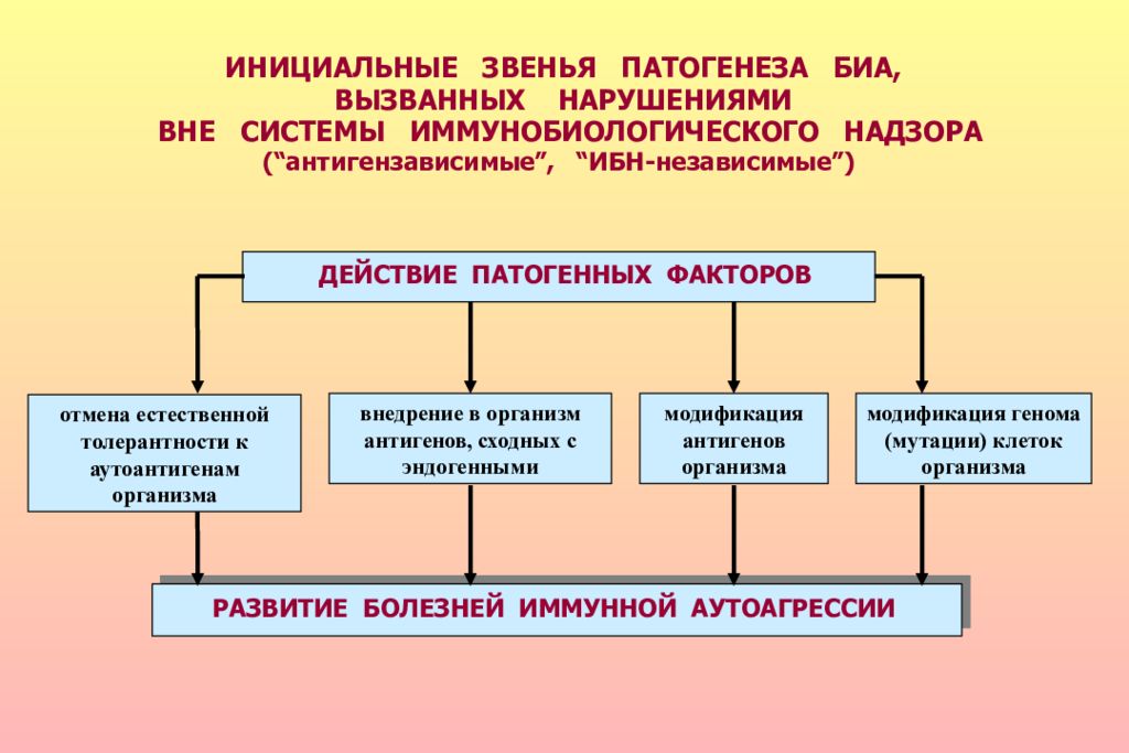 Звенья патогенеза. Этиология иммунопатологии. Звенья системы иммунобиологического надзора. Патогенеза болезни иммунной аутоагрессии. Структура системы иммунобиологического надзора организма.